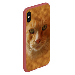 Чехол iPhone XS Max матовый Рыжий котик, цвет: 3D-красный — фото 2