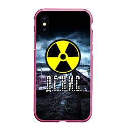 Чехол iPhone XS Max матовый S.T.A.L.K.E.R: Денис, цвет: 3D-малиновый