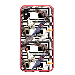 Чехол iPhone XS Max матовый Попугаи Какаду, цвет: 3D-красный