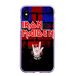 Чехол iPhone XS Max матовый Iron Maiden, цвет: 3D-светло-сиреневый