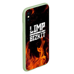 Чехол iPhone XS Max матовый LIMP BIZKIT, цвет: 3D-салатовый — фото 2