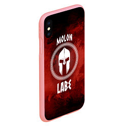 Чехол iPhone XS Max матовый Molon Labe, цвет: 3D-баблгам — фото 2