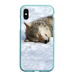 Чехол iPhone XS Max матовый Спящий Волк, цвет: 3D-мятный