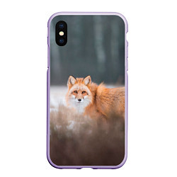 Чехол iPhone XS Max матовый Лиса