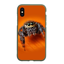 Чехол iPhone XS Max матовый ПАУК SPIDER, цвет: 3D-темно-зеленый