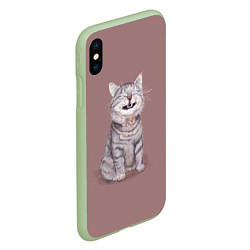 Чехол iPhone XS Max матовый Недовольный котик Disgruntled cat, цвет: 3D-салатовый — фото 2