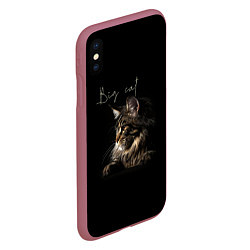 Чехол iPhone XS Max матовый Big cat Maine Coon, цвет: 3D-малиновый — фото 2