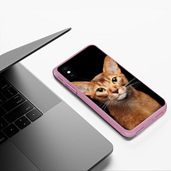 Чехол iPhone XS Max матовый Молодая абиссинская кошечка, цвет: 3D-розовый — фото 2