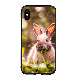 Чехол iPhone XS Max матовый Милый кролик, цвет: 3D-черный