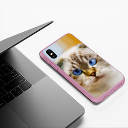 Чехол iPhone XS Max матовый Кошка породы шотландская вислоухая косоглазая, цвет: 3D-розовый — фото 2