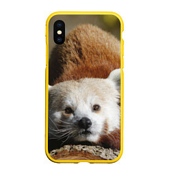 Чехол iPhone XS Max матовый Красная панда ждёт, цвет: 3D-желтый