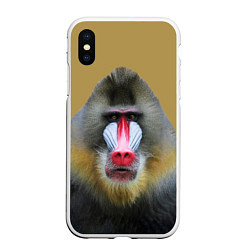 Чехол iPhone XS Max матовый Мандрил обезьяна