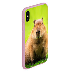 Чехол iPhone XS Max матовый Capybara on green grass, цвет: 3D-розовый — фото 2