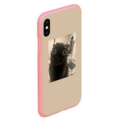 Чехол iPhone XS Max матовый Котик из мема, цвет: 3D-баблгам — фото 2