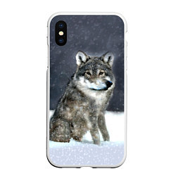 Чехол iPhone XS Max матовый Волк ауфф с кривым носом, цвет: 3D-белый