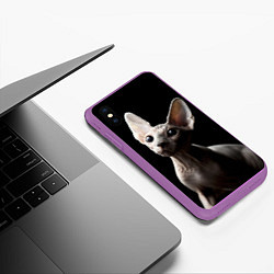 Чехол iPhone XS Max матовый Котик сфинкс, цвет: 3D-фиолетовый — фото 2