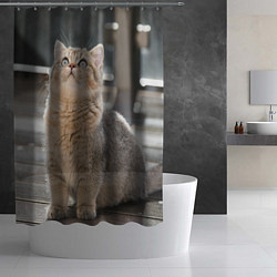 Шторка для душа Британская короткошёрстная кошка смотрит вверх, цвет: 3D-принт — фото 2