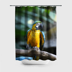 Шторка для душа Красавец попугай, цвет: 3D-принт