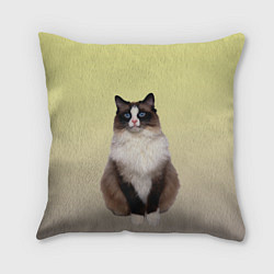 Подушка квадратная Персидская пушистая кошка, цвет: 3D-принт