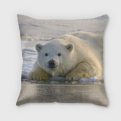 Подушка квадратная Белый медведь ожидает, цвет: 3D-принт