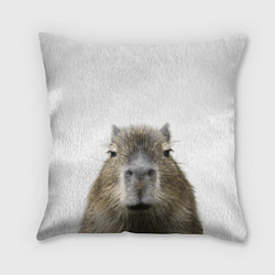 Подушка квадратная Капибара пофигист, цвет: 3D-принт