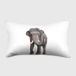 Подушка-антистресс Большой слон, цвет: 3D-принт