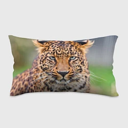 Подушка-антистресс Грустный леопард, цвет: 3D-принт
