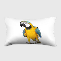 Подушка-антистресс Попугай ара, цвет: 3D-принт