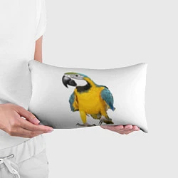 Подушка-антистресс Попугай ара, цвет: 3D-принт — фото 2