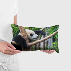 Подушка-антистресс Бамбуковый медведь, цвет: 3D-принт — фото 2