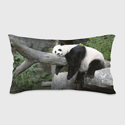 Подушка-антистресс Большая уставшая панда, цвет: 3D-принт