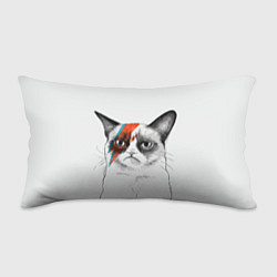 Подушка-антистресс David Bowie: Grumpy cat, цвет: 3D-принт