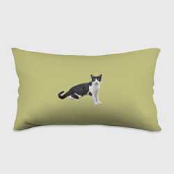Подушка-антистресс Смотрящая кошка, цвет: 3D-принт