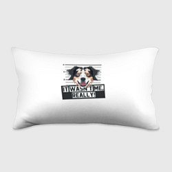 Подушка-антистресс Австралийская Овчарка Australian Shepherd, цвет: 3D-принт