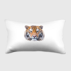 Подушка-антистресс Тигр рыжий полосатый, цвет: 3D-принт