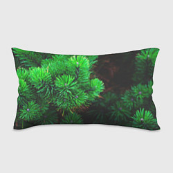 Подушка-антистресс Зелёный лес России, цвет: 3D-принт