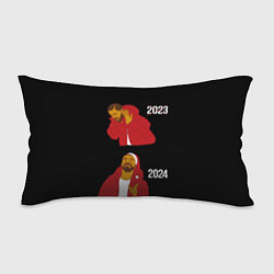 Подушка-антистресс Дрейк 2023-2024, цвет: 3D-принт