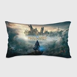 Подушка-антистресс Герой Hogwarts legacy, цвет: 3D-принт