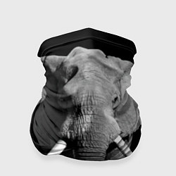 Бандана-труба Старый слон, цвет: 3D-принт