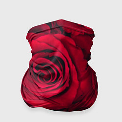 Бандана-труба Паттерн из роз, цвет: 3D-принт