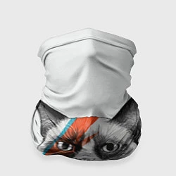 Бандана-труба David Bowie: Grumpy cat, цвет: 3D-принт