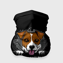 Бандана-труба Джек-Рассел-Терьер Jack Russell Terrier, цвет: 3D-принт