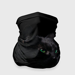 Бандана-труба Черна кошка с изумрудными глазами, цвет: 3D-принт