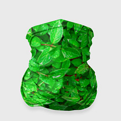 Бандана Зелёные листья - текстура