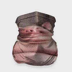 Бандана-труба Свинья сидит в сауне, цвет: 3D-принт
