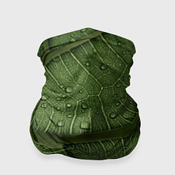 Бандана Текстура зелёной листы