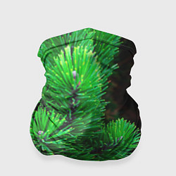 Бандана-труба Зелёный лес России, цвет: 3D-принт