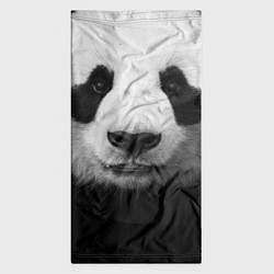 Бандана-труба Взгляд панды, цвет: 3D-принт — фото 2