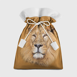 Подарочный мешок Царский лев