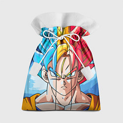 Подарочный мешок Colour Goku